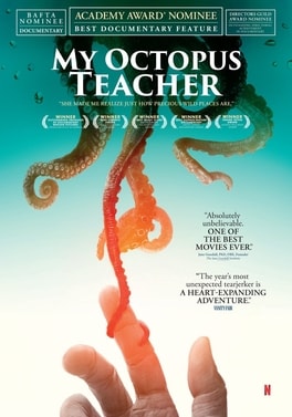 Cover image for My Octopus Teacher