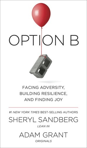 Cover image for Option B