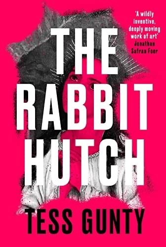 Cover image for The Rabbit Hutch